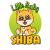 Little Baby Shiba