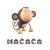 MACACA BOOTS