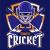 cricket token