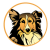 Hybrid Doge V2