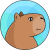 Carpincho Coin