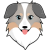 Australian Shepherd Token