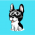 MetaDogs