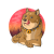 DogeZoom