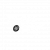 ELON XRP