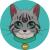 shira cat