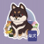Black Sesame Shiba