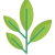 Flavonoids Token