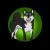 Shibokami