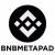 BNBMetaPad