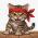 RED KITTEN CREW
