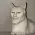 GigaCat