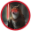 COᖇGI ᒪOᖇᗪ